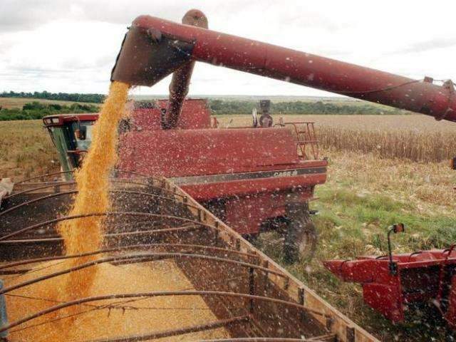 Ju&iacute;za federal pro&iacute;be por 30 dias registro de defensivos &agrave; base de glifosato