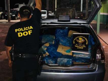 Traficante abandona 249 kg de maconha ap&oacute;s bater ve&iacute;culo em persegui&ccedil;&atilde;o