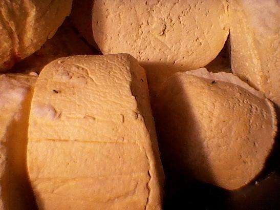 Queijos eram guardados em caixas d&acute;&aacute;gua sujas, com moscas, mofo e larvas