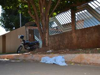 Jovem colidiu a moto contra a árvore na rua Gaia, por volta das 23h50 (Foto: Minamar Junior)