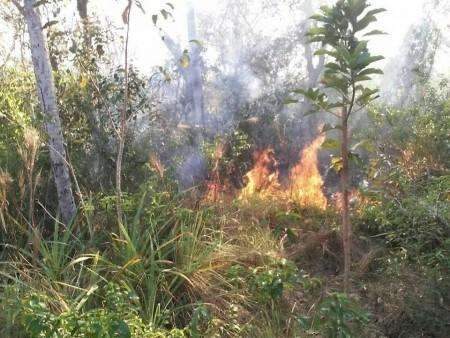 Umidade do ar aumenta e reduz focos de inc&ecirc;ndio na Serra do Amolar