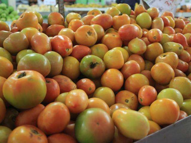 Pre&ccedil;o do tomate cai 22% e quilo do produto sai por R$ 1,40 na Ceasa