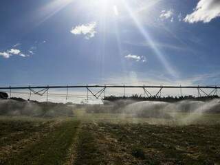 Plantação sendo irrigada em fazenda. (Foto:Valter Campanato/Agência Brasil) 
