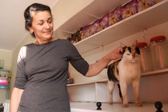 Gatinha escolhe pet shop para morar e acaba adotada por toda a vizinhan&ccedil;a 