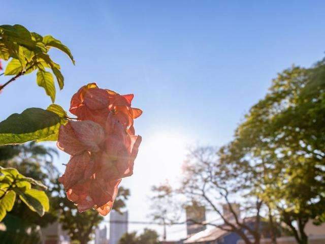 Sexta-feira de feriado ser&aacute; quente com previs&atilde;o de pancadas de chuva 