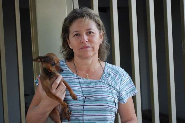 Prefeitura vai obrigar a instala&ccedil;&atilde;o de chip em c&atilde;es e gatos na Capital