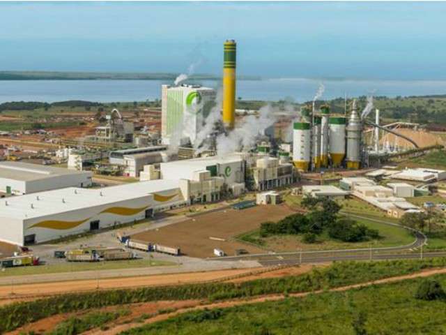 Eldorado adia para 2020 in&iacute;cio de amplia&ccedil;&atilde;o de f&aacute;brica em MS