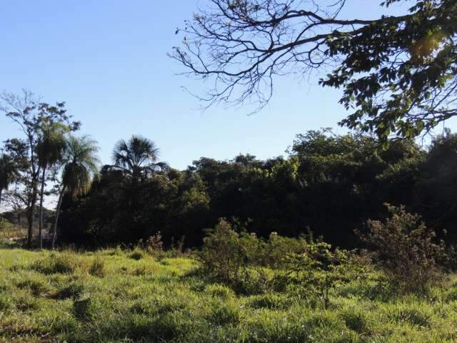 Mesmo protegido por institui&ccedil;&otilde;es, Parque do Bandeira sofre com depreda&ccedil;&atilde;o