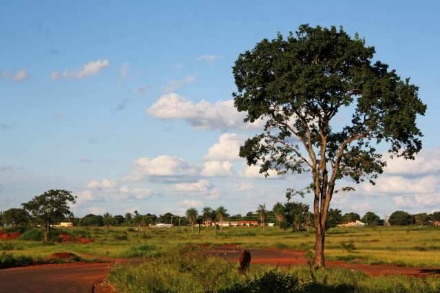Quinta-feira de c&eacute;u sem nuvens e temperatura amena na Capital