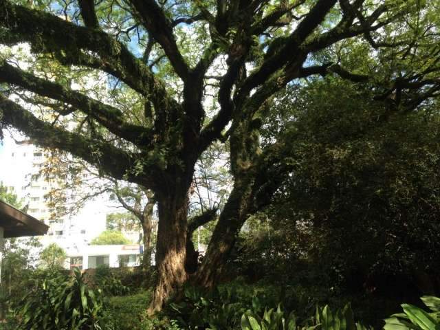 Para ser a &quot;Capital verde&quot;, tem muito trabalho sendo feito todo dia