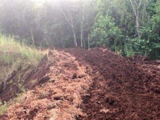 Fazendeiro que degradou mata para construir tanque &eacute; multado em R$ 5 mil