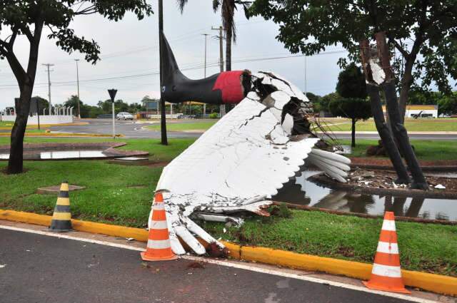  Come&ccedil;a restaura&ccedil;&atilde;o de tuiui&uacute; destru&iacute;do por temporal em dezembro