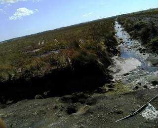 Degradação ambiental incluía, segundo a PMA, abertura de drenos em margens de córrego (Foto: Divulgação)