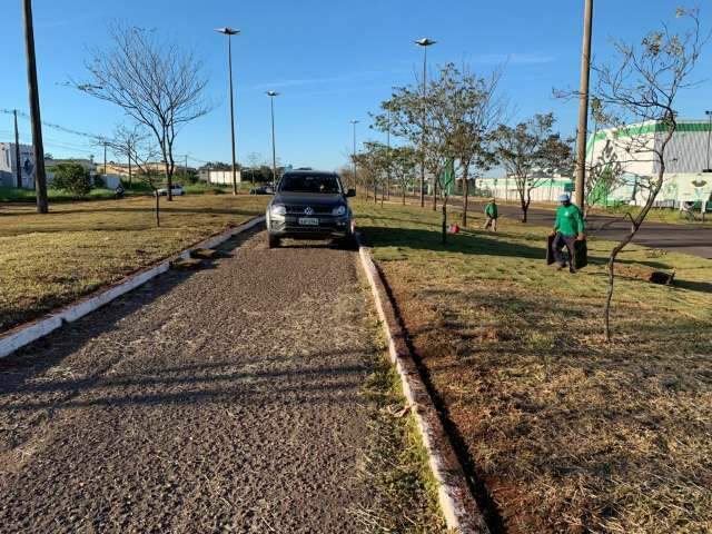 Projeto piloto faz substitui&ccedil;&atilde;o da grama em canteiros de avenidas da Capital