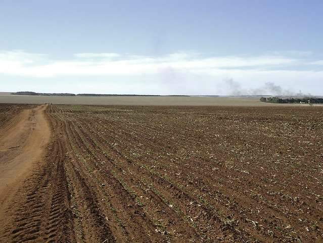 Produtores de soja interrompem o plantio por falta de chuva