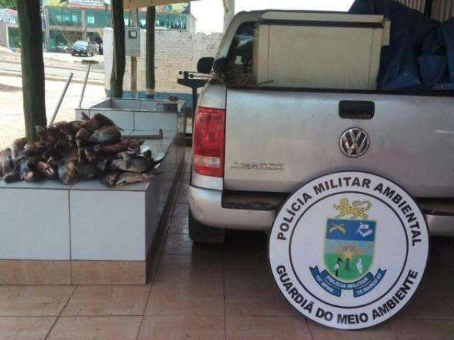 Turistas de SP s&atilde;o presos ao serem flagrados com 80 kg de pescado 