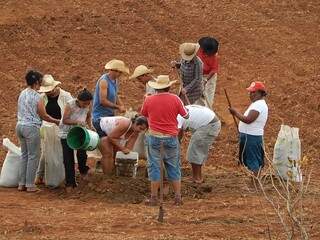 Famílias iniciaram preparação da terra para o plantio (Foto:Divulgação)