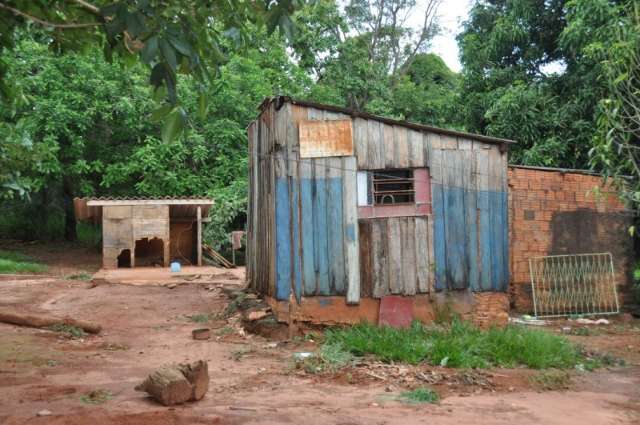 Idoso &eacute; atacado por abelhas enquanto limpava quintal na Vila Morumbi