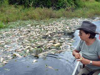 Acusada de participação em esquema de caça ilegal, Beatriz Rondon tem propriedades rurais em Aquidauana. (Foto: O Pantaneiro)