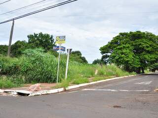 Terreno abandonado no cruzamento das ruas Rui Barbosa e Amazonas. 