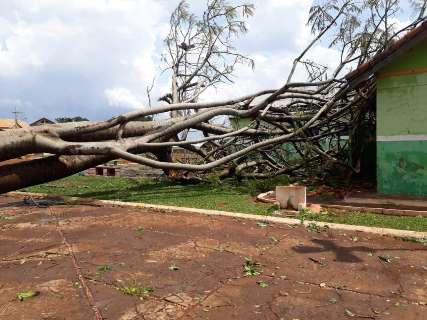Chuva derruba árvores e destelha escola e casas em Bandeirantes