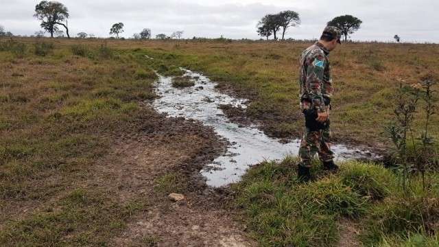Pecuaristas s&atilde;o multados em R$ 355 mil por criar gado em &aacute;reas de nascente