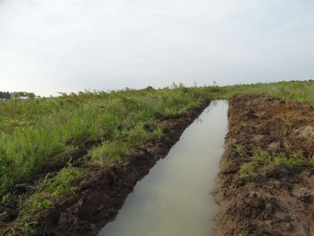 PMA autua fazendeiro por degrada&ccedil;&atilde;o de &aacute;rea de preserva&ccedil;&atilde;o e nascente