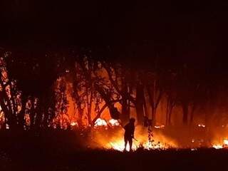 Bombeira contendo as chamas durante o incêndio no terreno, no último dia 23. (Foto: Humberto Marques) 