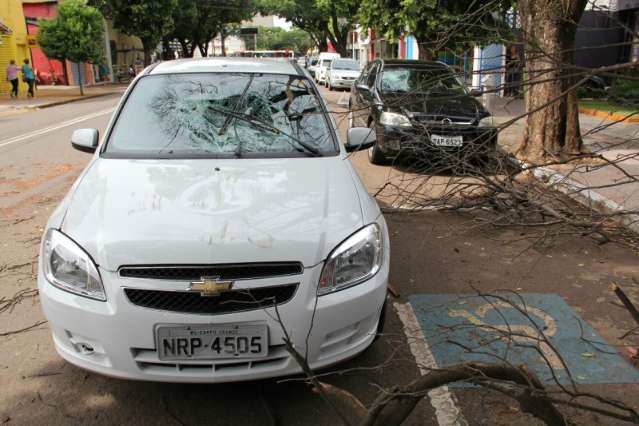 Galho de &aacute;rvore cai, atinge carro em movimento e causa danos no Centro