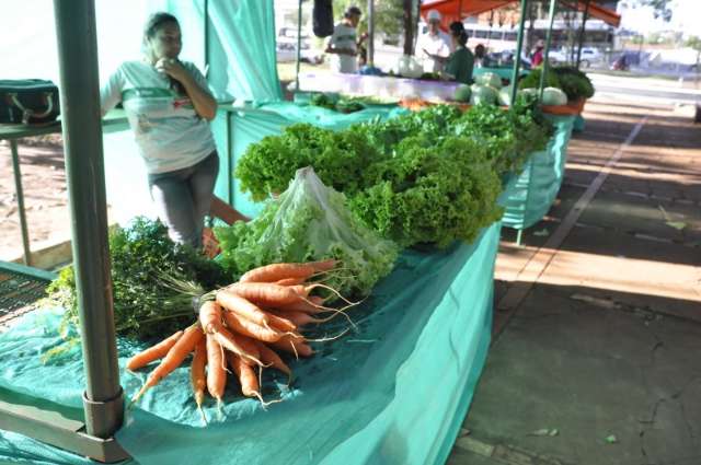 Feira org&acirc;nica comemora 5 anos garantindo renda para 50 fam&iacute;lias