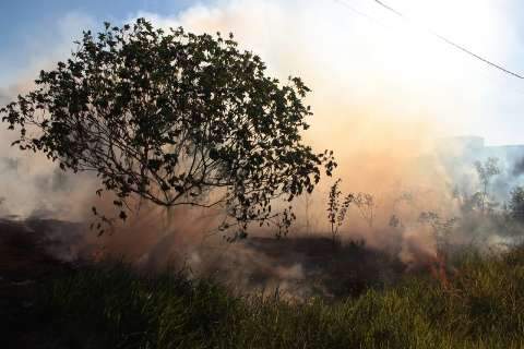 Com tempo seco, Capital tem 15 ocorrências de incêndio em vegetação