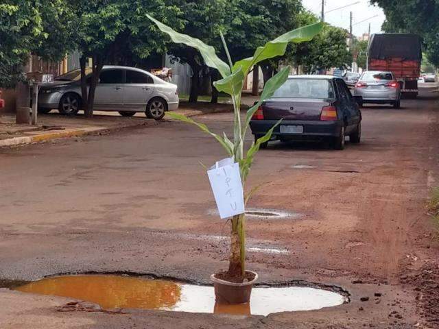 Ap&oacute;s den&uacute;ncia, prefeitura promete obras para rua sinalizada com bananeira