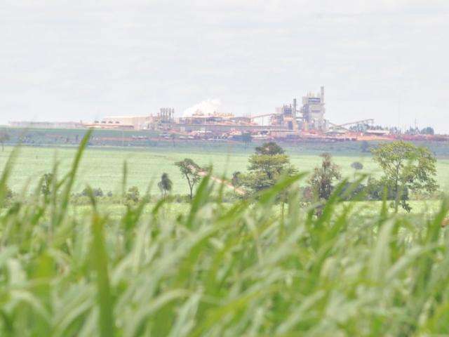 Salto na produ&ccedil;&atilde;o de etanol em MS deve chegar a 8,6 milh&otilde;es de litros