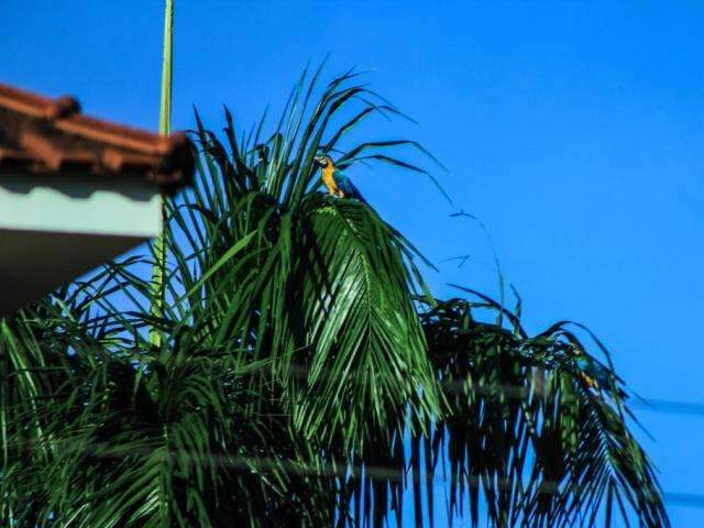 Tempo firme continua, com poucas chances de chuva e calor de at&eacute; 34&deg;C