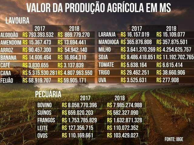Produ&ccedil;&atilde;o no campo vai atingir R$ 32 bi este ano em MS, prev&ecirc; Minist&eacute;rio