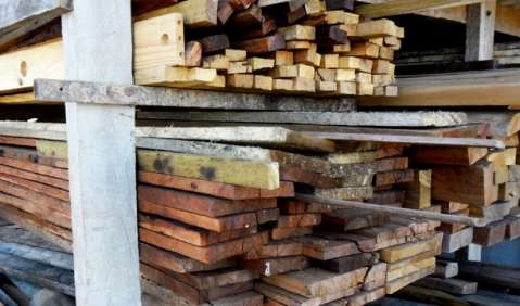 PMA descobre grande exploração e armazenamento ilegal de madeira de lei