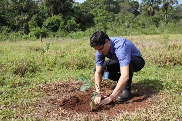  Lageadinho recebe plantio de 500 mudas nativas do cerrado