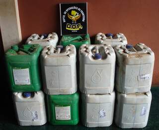 Foram apreendidos 15 galões com 20 litros de óleo cada. (Foto: divulgação/DOF)