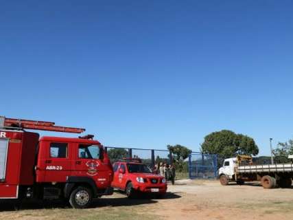 Debilitada à espera de resgate, vaca agoniza presa dentro de cratera