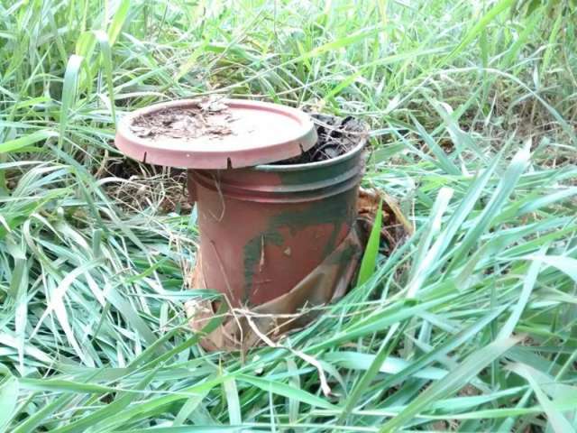 Cabe&ccedil;a de homem morto em 2014 &eacute; encontrada dentro de balde em mata