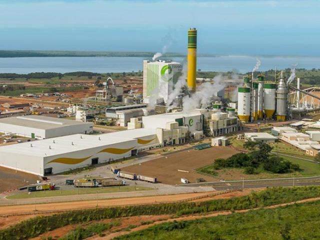 Empresa indon&eacute;sia tenta pela 2&ordf; vez &ldquo;passar cheque&rdquo; para comprar f&aacute;brica em MS