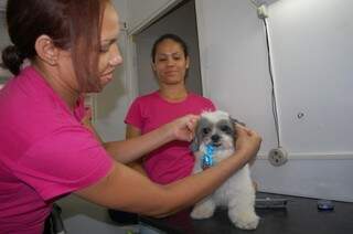 Janete coloca gravatinha no cão que foi para clínica tomar banho.