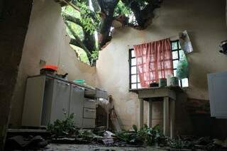 Árvore de grande caiu sobre casa e destruiu telhado e parede (Foto: Marina Pacheco) 