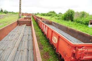 Fábrica vai produzir trilhos de trem a partir do ferro das minas de Corumbá. (Foto: Rodrigo Pazinato)
