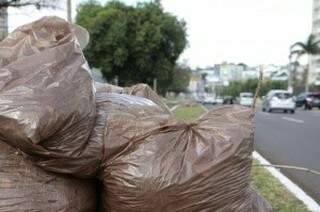 Solurb orienta cidadãos a não colocarem lixo na porta de casa (Foto: Cleber Gellio)