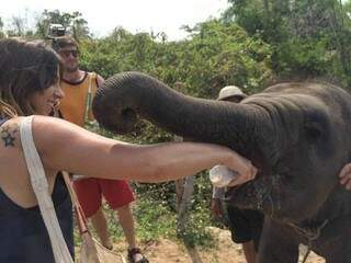 Deu até pra dar mamá para os elefantes. (Foto: Acervo Pessoal)