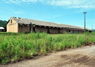 Área está tomada pelo mato em Corumbá (Foto: Divulgação)