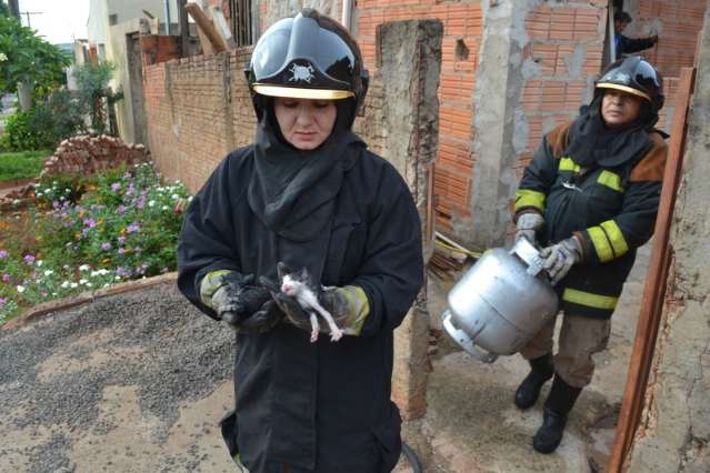 Inc&ecirc;ndio destr&oacute;i m&oacute;veis, mata gato e fam&iacute;lia sai ilesa em sobrado