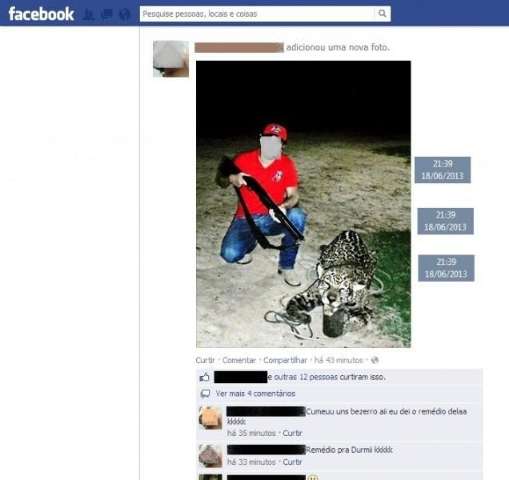 Homem posta no facebook foto de abate de on&ccedil;a e &eacute; multado em 10 mil