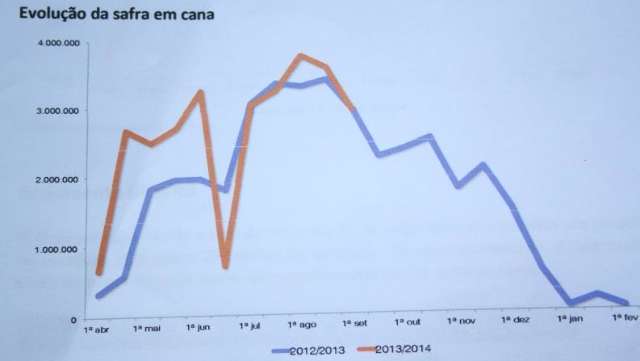 Geadas reduz produ&ccedil;&atilde;o de a&ccedil;&uacute;car em 22% e compromete tr&ecirc;s safras em MS